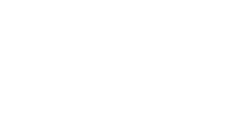 Türk Dedektif